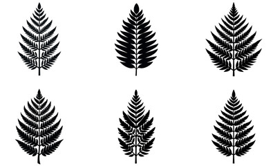 Six distinct, black silhouettes of fern leaves against a white background. © Mdaminul