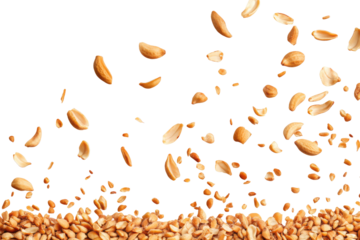 peanuts on transparent background