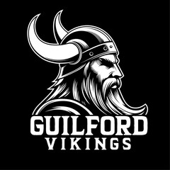 Vikings Head Vector Art