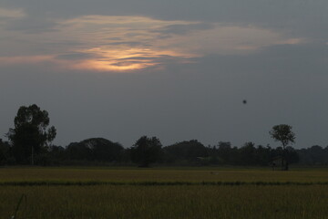 A sunset seen in the sky over a rice field in Nakhon Sawan province, north of Bangkok on February 23, 2025..