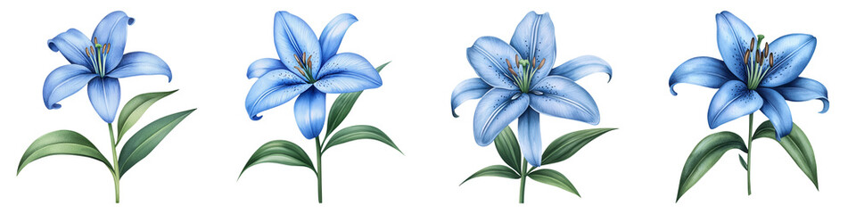 Gentle Blue Lily with Soft Gradients and Artistic Touch
