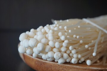 Enoki Mushroom on a dark background, Close-up. 팽이버섯