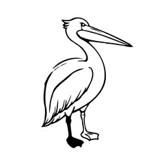 Simple Pelican Line Art Isolated Design