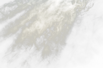 White smoke swirls on Transparent  background.