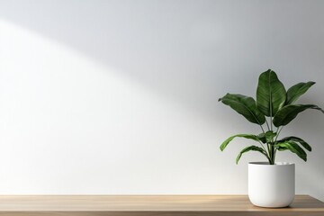 Minimalistic interior showcasing elegant plant in white pot, sof