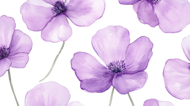 Hand-painted purple flowers, watercolor seamless pattern, botanical art, on a white background --ar 16:9