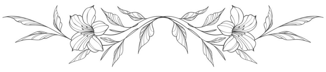 Line art floral botanical on transparent background vector. floral, flowers, leaves, foliage, branches in hand drawn. Floral element design