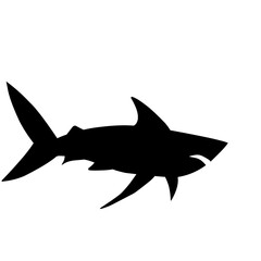 Shark Silhouette 
