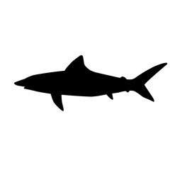 Shark Silhouette 