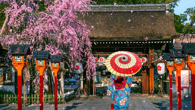 Tourist wearing japanese traditional kimono walking to shrine in Kyoto, Japan. Springtime in Kyoto.