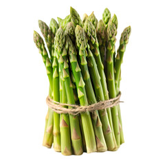 Fresh Green Asparagus Bundle isolated on transparent background