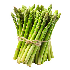 Fresh Green Asparagus: Recipes & Cooking Tips isolated on transparent background