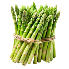 Fresh Green Asparagus Bundle isolated on transparent background