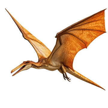 Isolated Pterodactyl Dinosaur with Sharp Teeth