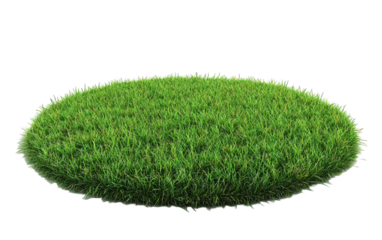 Grass pad on transparent or white background,png