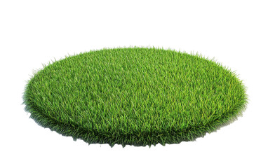 Grass pad on transparent or white background,png