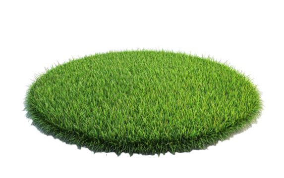 Grass pad on transparent or white background,png