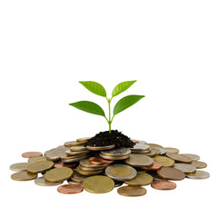 plant growing from coins isolated on transparent background