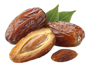 dates isolated on white background