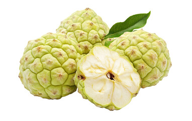 Fototapeta premium Fresh Custard Apple on transparent or white background,png