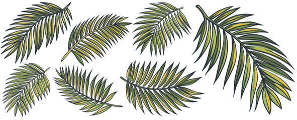 Green palm leaf swaying set in the wind, evoking tranquility and tropical vibes for summer or travel themed projects, isolated on a white background for versatile design integration