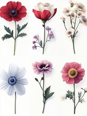 Obraz premium Collection of flower elements, vintage vibe in light background
