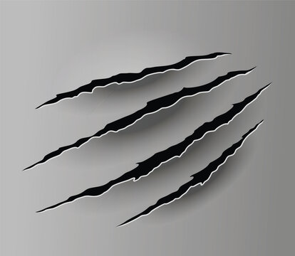 Bear or tiger claw mark. Scratches and torn traces of vector animal paw slashes. Hole in sheet of paper with torn edges. Vector illustration