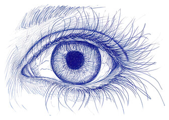 Fototapeta premium PNG Drawing eye sketch blue backgrounds.