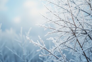 Obraz premium Snowy Branches with Frost and Ice Crystals on a Cold Winter Day