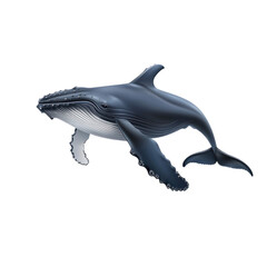 3D vector icon of Humpback whale isolated on transparency background