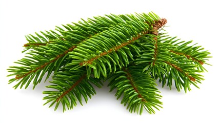 Naklejka premium Vibrant Green Pine Branches Displaying Lush Foliage and Natural Beauty in a Isolated Setting