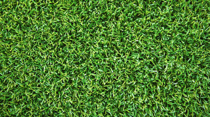 Green grass background shot from above, freshly cut,  flat lay. Concept of lawn moving.