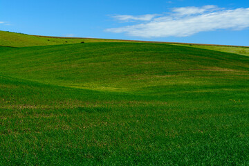Obraz premium green field and blue sky