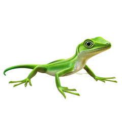 Fototapeta premium 3D vector icon of Green anole isolated on transparency background