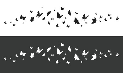 Butterflies silhouette flying on white and black background. Vector illustration set
