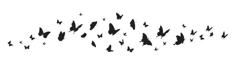 Butterflies silhouette flying on white background. Vector illustration set