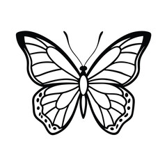 Fototapeta premium Butterfly, full body line art, white background, vector file.