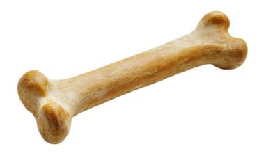 Dog bone on transparent or white background,png