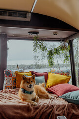 A dog is peacefully laying on a comfortable bed inside a camper van