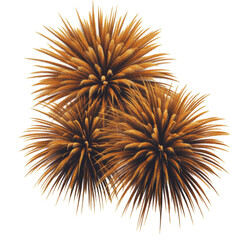 Obraz premium Colorful fireworks explosion against a night sky creating a festive and celebratory atmosphere isolated on transparent background..