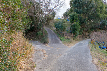 山間に続く分かれ道の小道