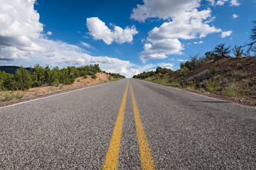 Long road perspective in desert in New Mexico under blue sky