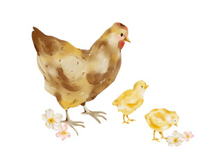 Watercolor Easter Illustration, Cute Farm Animals, Hen and Chicks, Flowers Arrangement, Fluffy Easter Bird, Rustic Cottagecore Art png, Easter Floral Arrangement