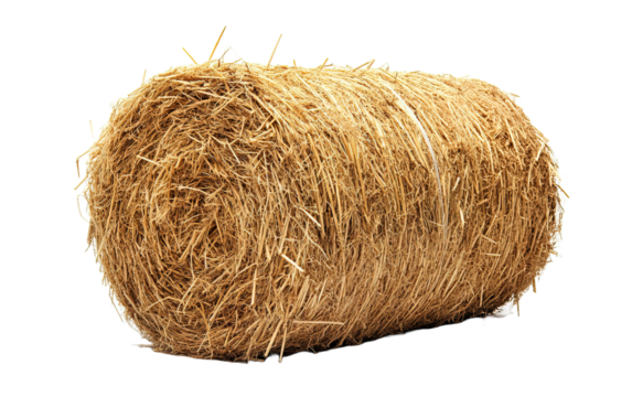 Cylinder Hay on transparent or white background,png