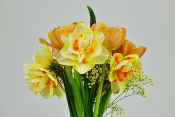 The beautiful yellow and orange daffodils and tulips with green stems on the bright background.