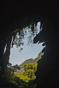 Zona reservada de Tingo Maria con su biodiversidad de flora y fauna entre las monta&ntilde;as andinas y selva amaz&oacute;nica con sus atractivos cueva de las lechuzas y bella durmiente