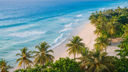 Tropical Beach with Palm Trees along Turquoise Waters