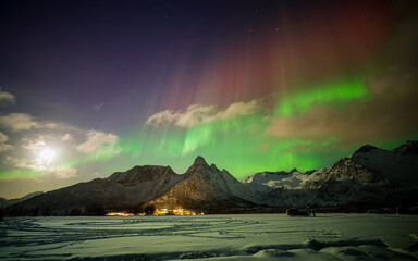 Norwegia. Senja. Mefjordvaer. Zorza polarna nad Norwegią.
