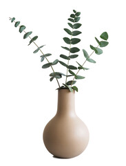 Trendy vase with plant isolated in transparent PNG, isolated design element for modern home and...