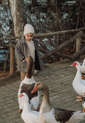 A young boy in a gray coat and a white hat stands on a farm among geese. A serene countryside...